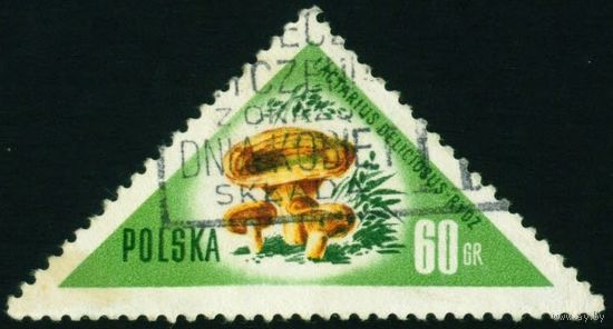Грибы Польша 1959 год 1 марка