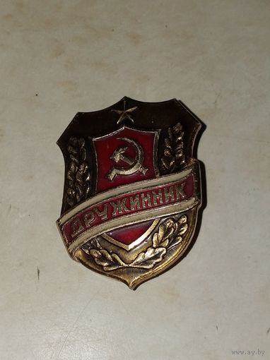 Дружинник