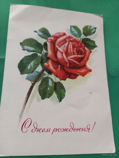 Куртенко С Дем рождения!