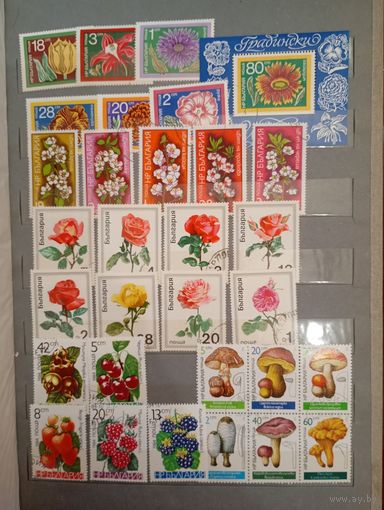 Флора сборный Болгария 5 серий