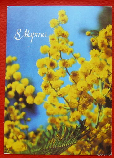8 Марта! Подписанная.  1986 года. Панова. # 314.