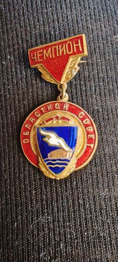 Чемпион. Областной совет.