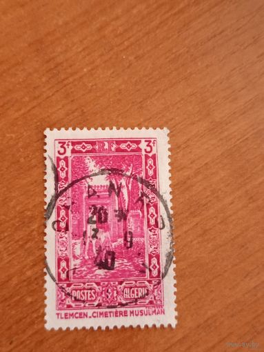 Французская колония Алжир архитектура флора (2-1)