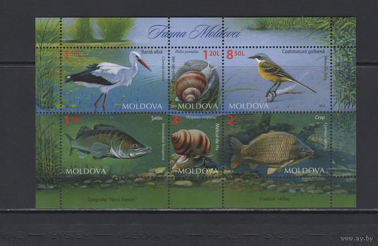 Фауна Молдова 2014** Фауна водоёмов