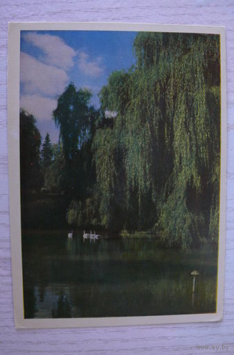 Львов. Уголок Стрыйского парка; 1962, чистая.