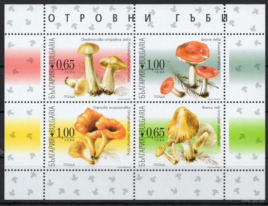 Болгария 2011. Грибы блок (5006)