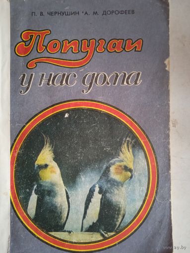 Попугаи  у нас дома