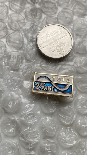 Предприятие ТЭТЗ 25 лет, Томск