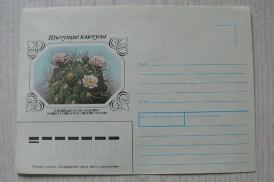 1983, 1990, ХНМК, Горинов К., Гимнокалициум, из серии "Цветущие кактусы".