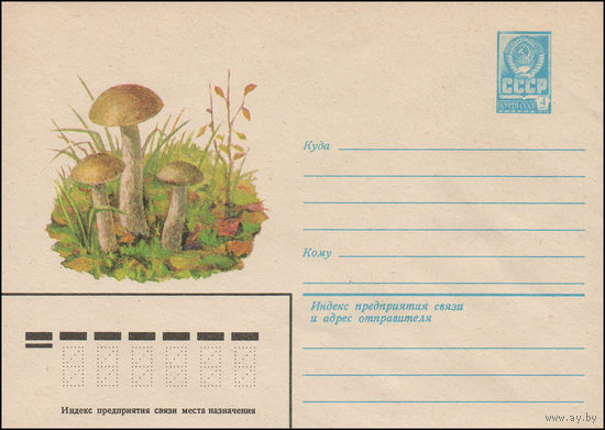 Художественный маркированный конверт СССР N 13503 (07.05.1979) Подберезовик