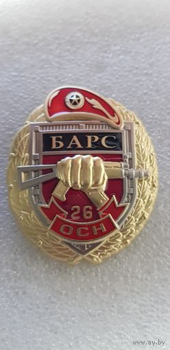 26 отряд специального назначения Барс ВВ МВД Россия