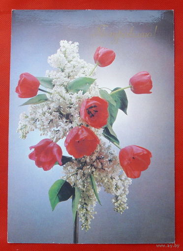 Поздравляю! Подписанная.  1989 года. Киндровой.  # 385.
