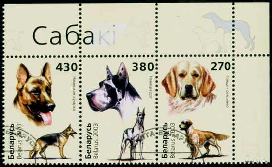 Собаки Беларусь 2003 год (526-528) серия из 3-х марок в сцепке