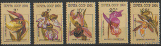 Заг. 6248/52. 1991. Орхидеи. Чист.