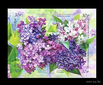 2018 Россия 2328-2331 Флора. Цветы. Сирень  ** Кварт