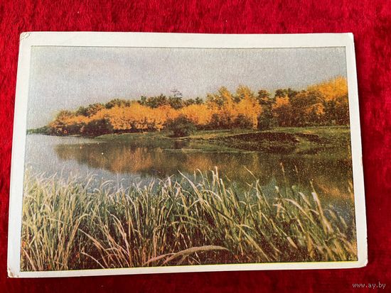 Подмосковье Фото Г. Самсонова 1963 год