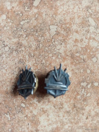 Петлица Польша