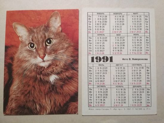 Карманный календарик. Котик. 1991 год