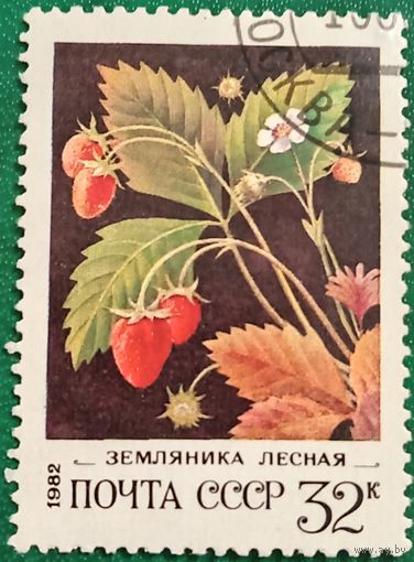 СССР 1982. Земляника лесная