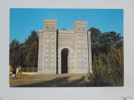 Открытка Ирак 1980-е   10х15 см