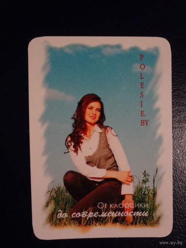 Календарик 2011 г.  Полесье.  (Пинск). От классики до современности.