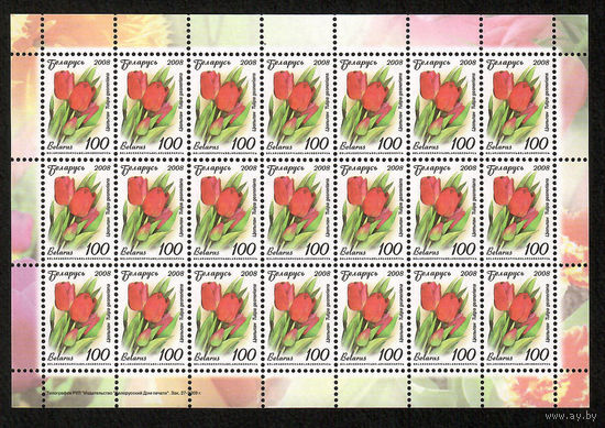 Беларусь. 2008. Стандарт.  Тюльпан (100р) (з.27-2009) Лист