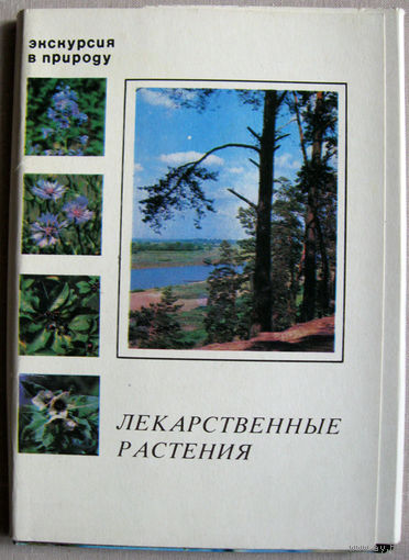 Набор открыток Экскурсия в природу. Лекарственные растения. Выпуск 3 1978 Неполный 24 открытки из 25