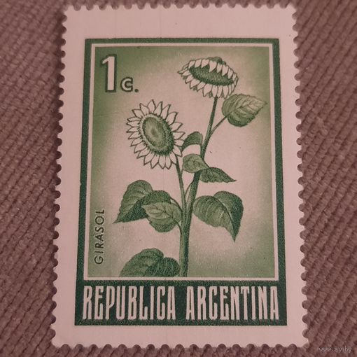 Аргентина. Флора. Подсолнухи. Girasol