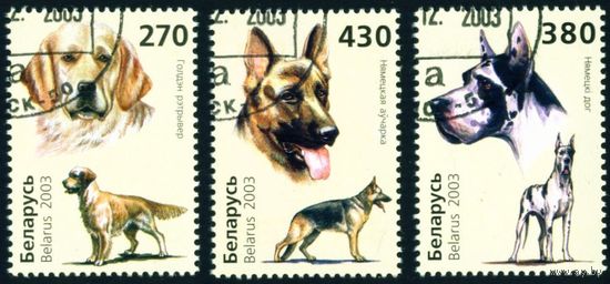 Собаки Беларусь 2003 год (526-528) серия из 3-х марок