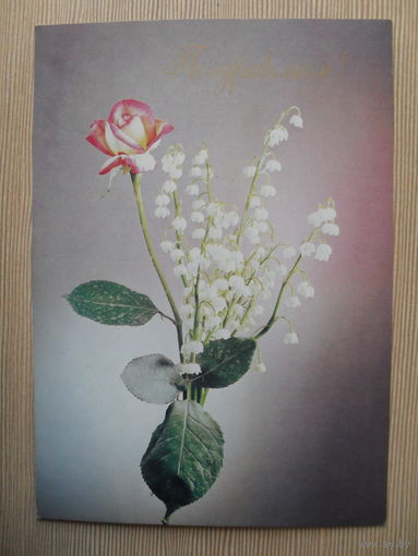 ПОДПИСАННАЯ ОТКРЫТКА. СССР. ПОЗДРАВЛЯЕМ. фото. Д. КИНДРОВОЙ. 1989 г.