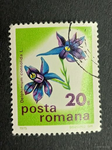 Румыния 1975. Цветы - Международная ботаническая конференция