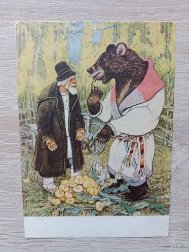 Рачев 1955
