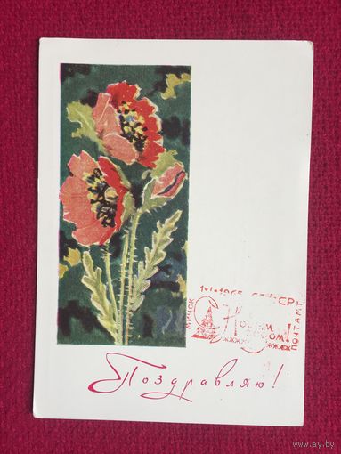 Поздравляю! Окиншевич 1964 г. Чистая.