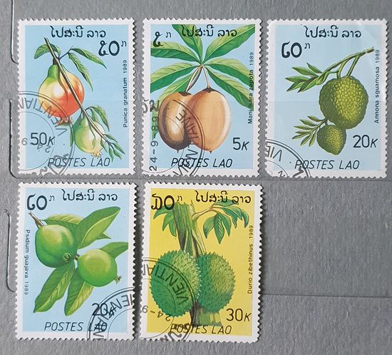Лаос фрукты 5шт