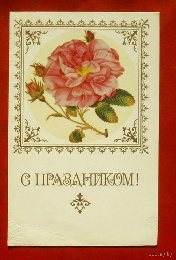 С праздником! Чистая. 1976 года. Егоров. 1790.