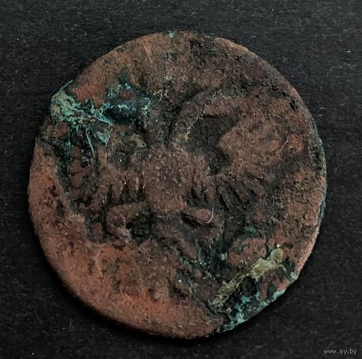 Деньга 1734 г., Анна Иоанновна, F