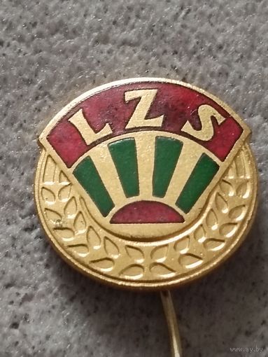 Народные спортивные клубы - LZS  (Польша)