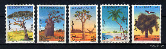 1994 Сомали. Деревья