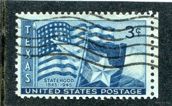 США. 100 лет штата Техас