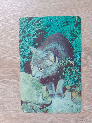 Календарик 1992