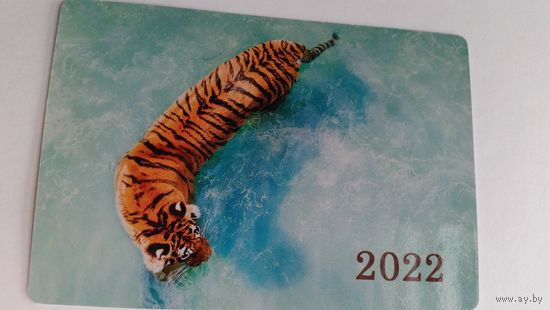 Календарик.Тигр на голубом.2022 год.
