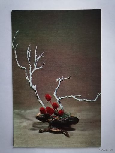 Открытка из СССР, 1976г, подписанная.