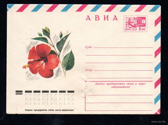 Художественный маркированный конверт СССР N 12061 (13.05.1977) АВИА  Хибискус (Китайская роза)