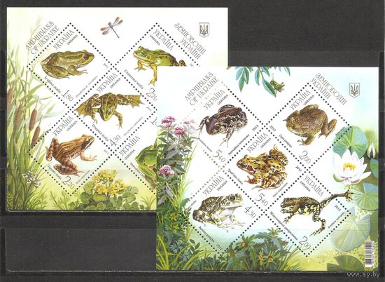 ФФ3 Украина 2011-12 Лягушки