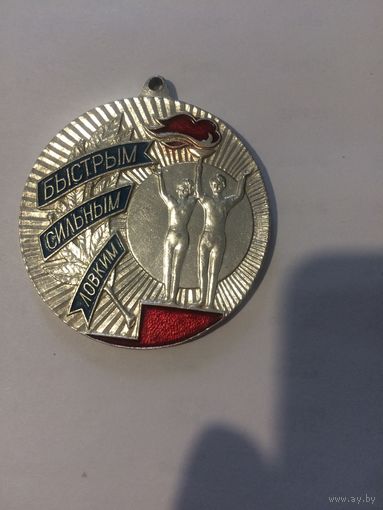 Быстрым,сильным, ловким. 1 -е место. Медаль.