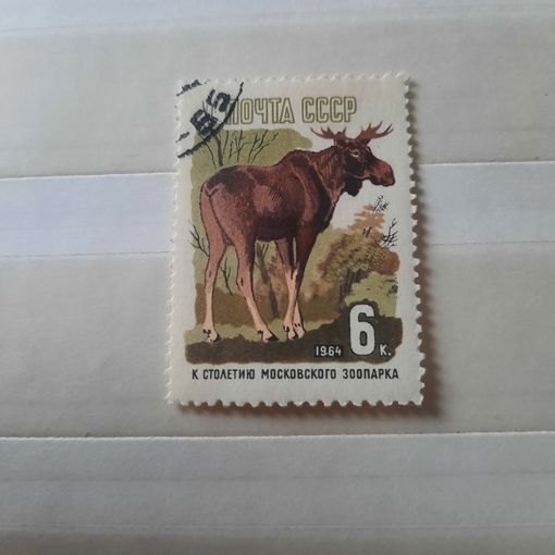 СССР 1964. Лось