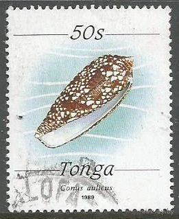 Тонга. Ракушка. 1989г. Mi#1066.