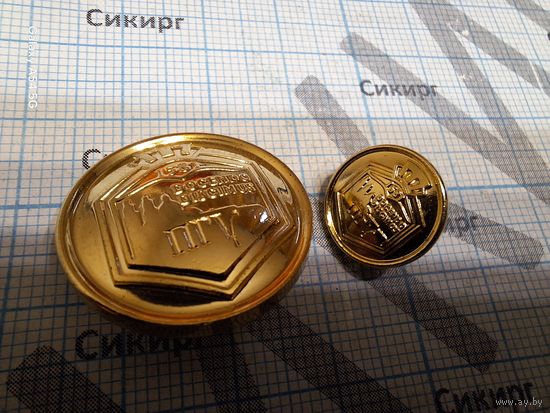 Пара фирменных пуговиц Полоцкого государственного университета ПГУ СЭНС бронза
