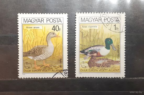 Венгрия. 1980 год. Фауна. Водоплаваающие птицы (412)