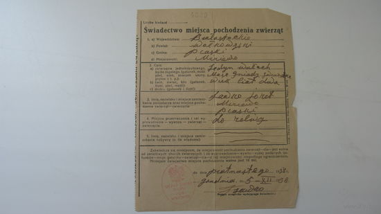 1938 г. Польша . Справка . Дата и место рождения животного
